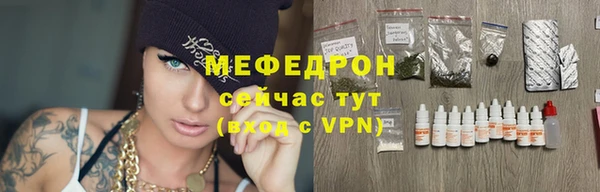 эйфоретик Няндома