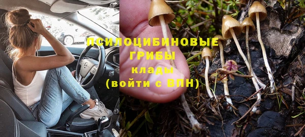 скорость Новозыбков
