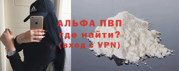 эйфоретик Няндома