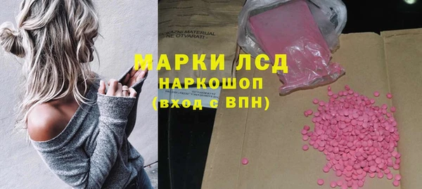 эйфоретик Няндома