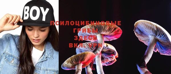 мяу мяу мука Новокубанск