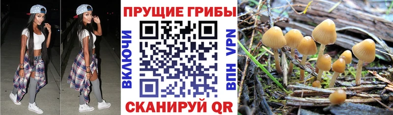 Галлюциногенные грибы MAGIC MUSHROOMS  Курган 
