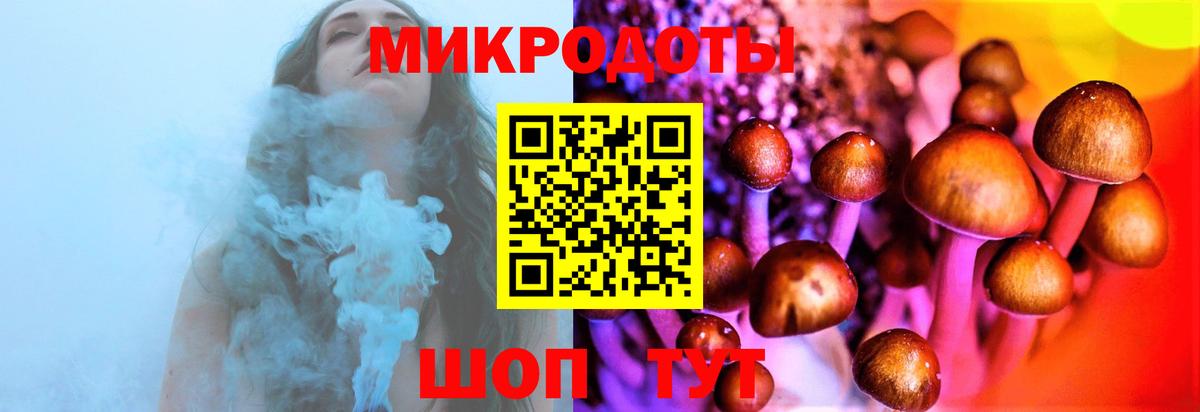 Курган  Псилоцибиновые грибы Psilocybine cubensis  Псилоцибиновые грибы Magic Shrooms  Вход с VPN 